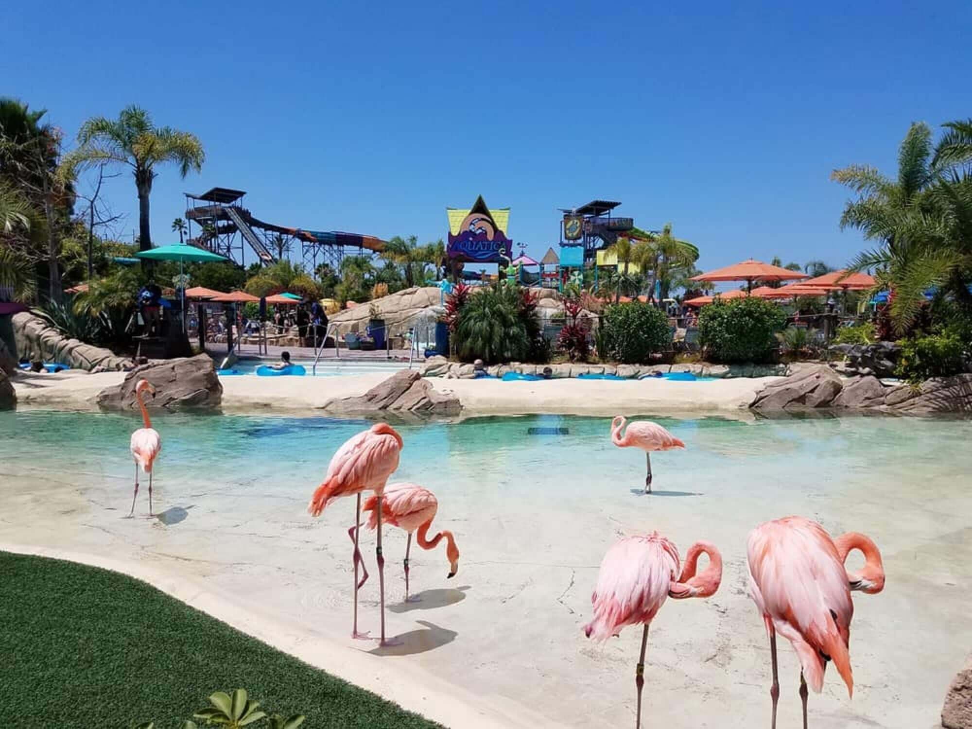 aquatica_san_diego