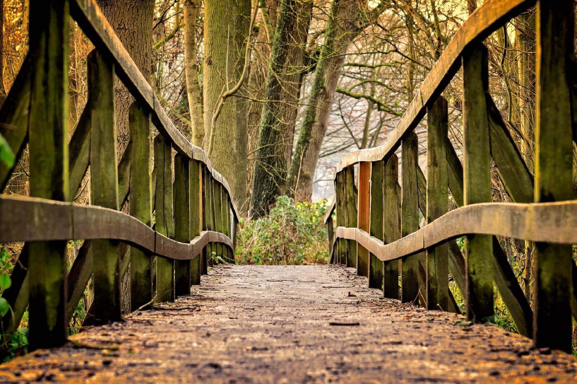 Six Chula Vista Hiking Trails That You Need to Explore