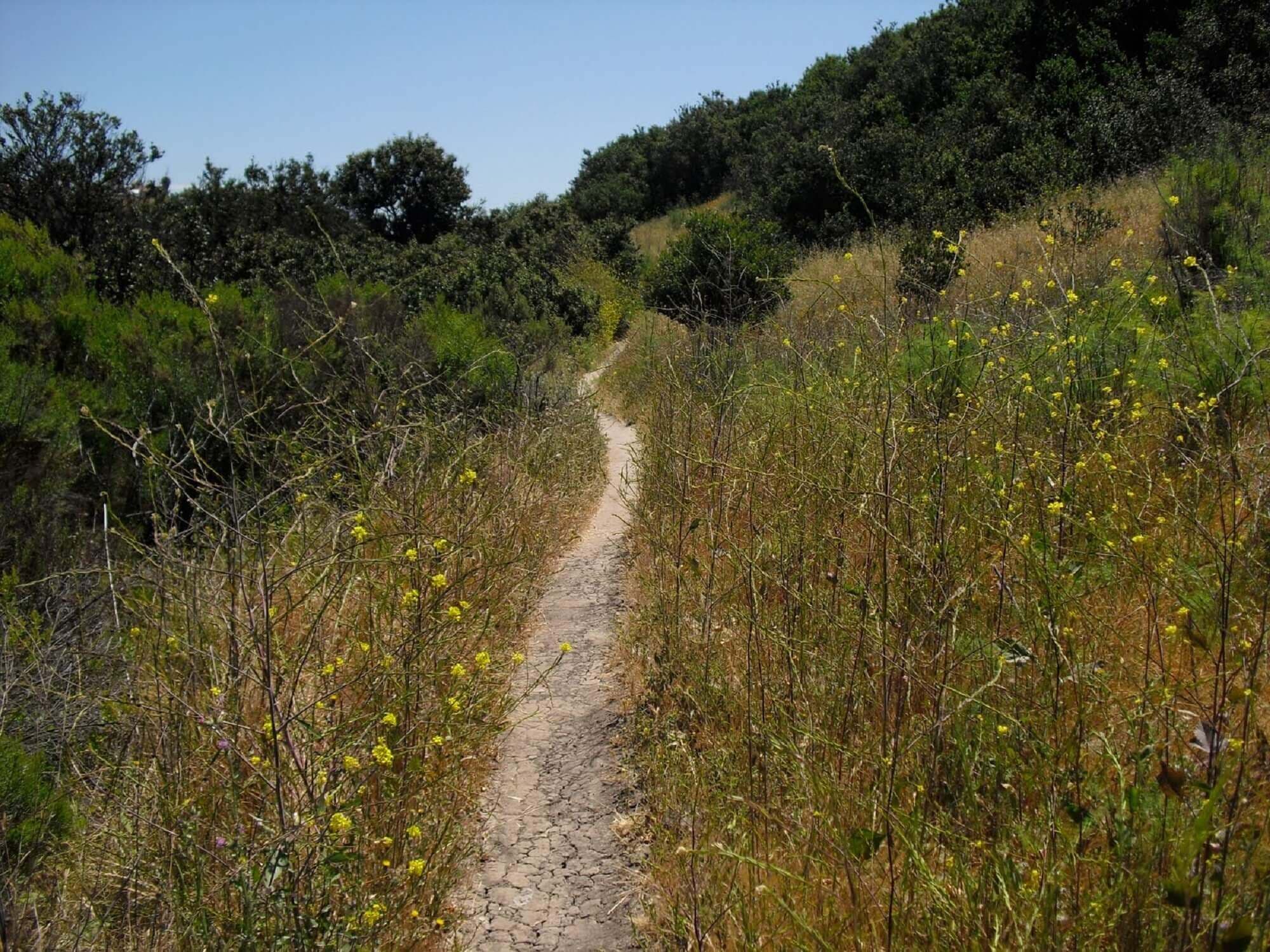 rice_canyon_trail